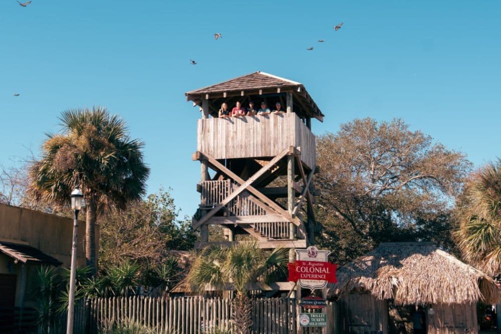 Wooden lookout tower with people at the top, surrounded by palm trees and a clear blue sky.