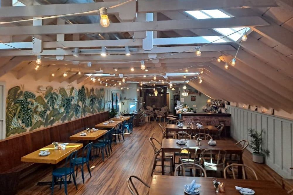 A spacious restaurant interior with wooden tables, blue chairs, and string lights, featuring a mural of tropical plants on the walls.